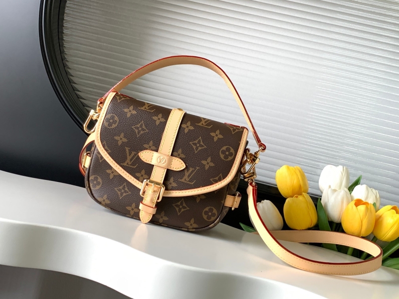 LV Satchel bags